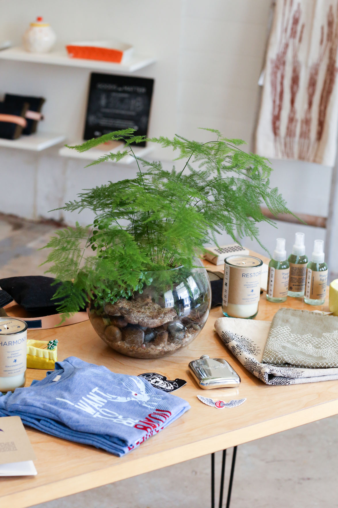 FAIT plant and Heartsleeve tee.jpg